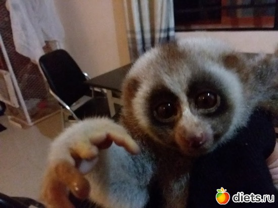 17 ����: ��� ��������