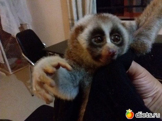 18 ����: ��� ��������