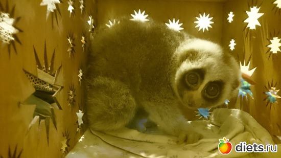 19 ����: ��� ��������