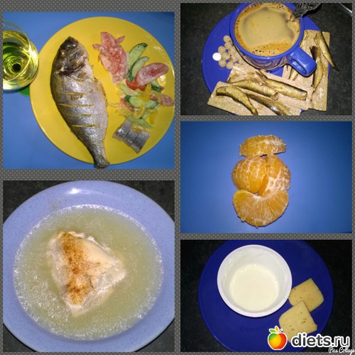 5 ����, ������: ����� �������