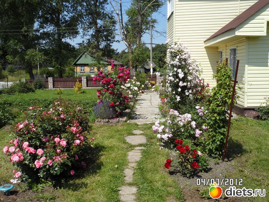 1 ����: ��� �����