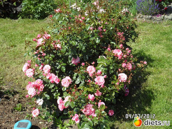 2 ����: ��� �����