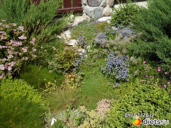 3 ����: ��� �����