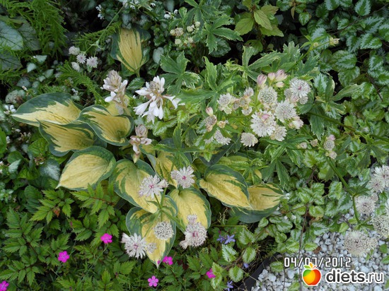 4 ����: ��� �����