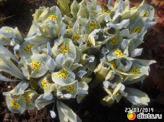 5 ����: ��� �����