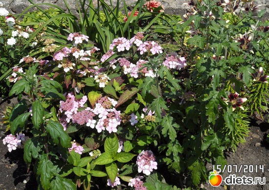 6 ����: ��� �����