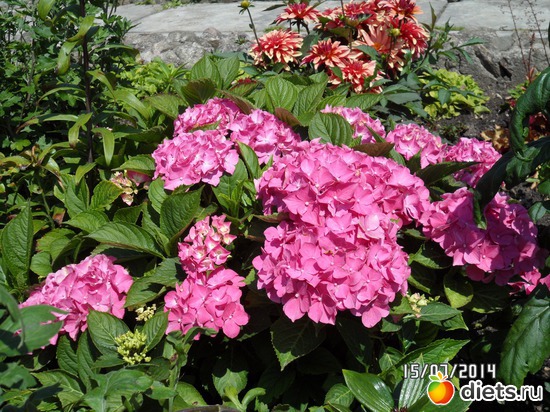 7 ����: ��� �����