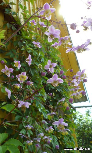 8 ����: ��� �����