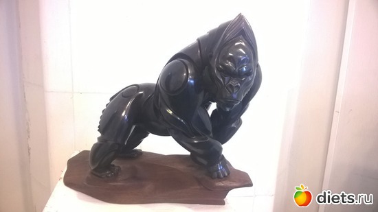 6 ����: �������� �������� ����