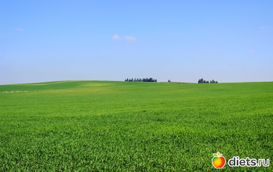 Сдерот, 20.01.17, альбом: Природа...