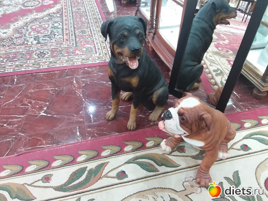 12 ����: ����������� ������� �������