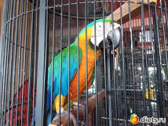 20 ����: ��� ��������