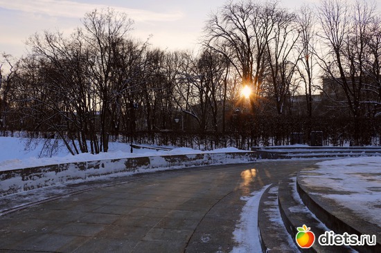 1 ����: ��� ����������