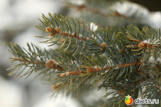 2 ����: ��� ����������