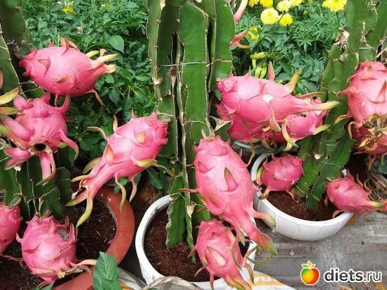 4 ����: ��������..