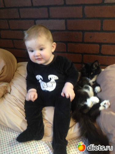 3 ����: ��� "���"