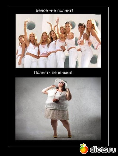 6 ����: ���������