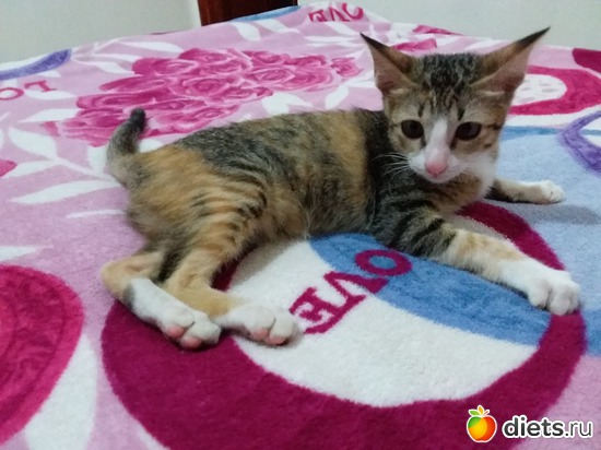 22 ����: ��� ��������