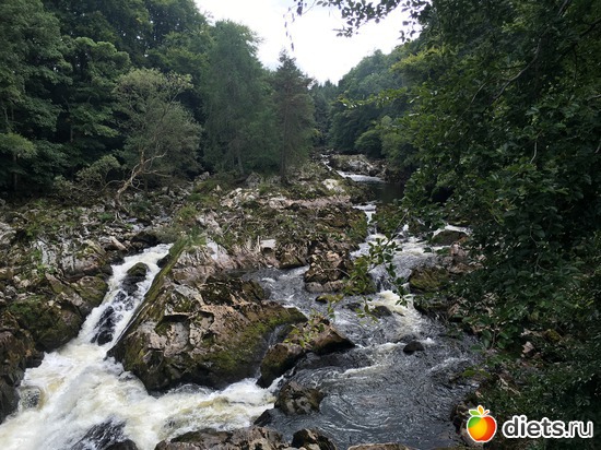 1 ����: ������� ���������