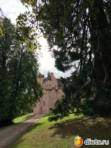 5 ����: ������� ���������