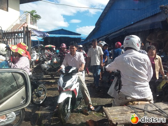 56 фото: Разное