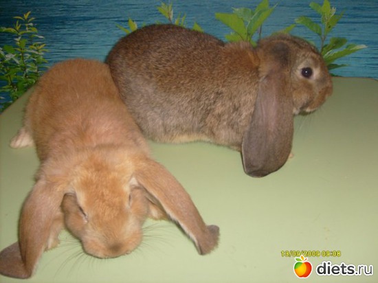 23 ����: ��� ��������