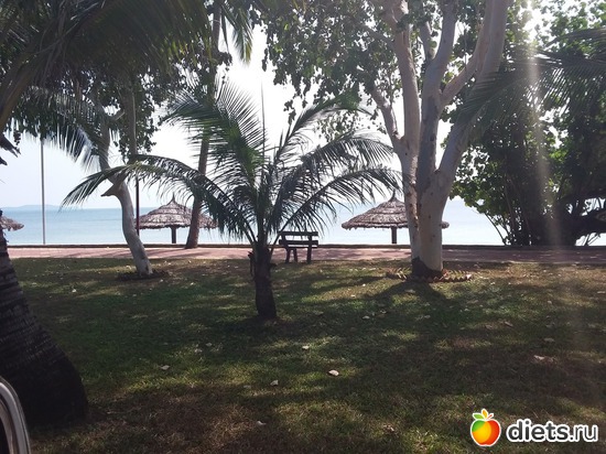 10 ����: ����������, ������ �����