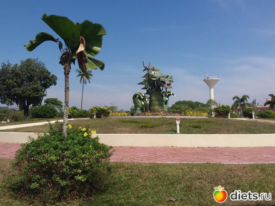 12 ����: ����������, ������ �����