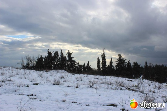   .   .28.01.17, : ...