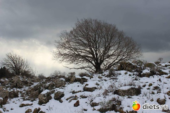   .   .28.01.17, : ...