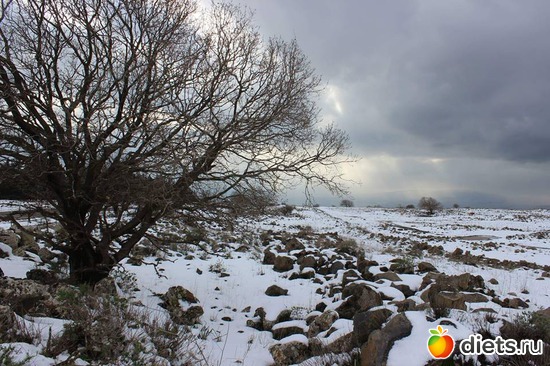   .   .28.01.17, : ...