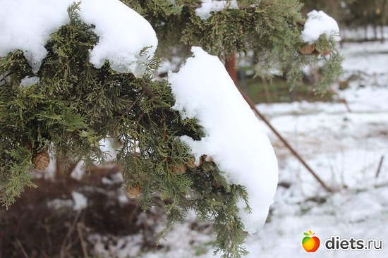   .   .28.01.17, : ...