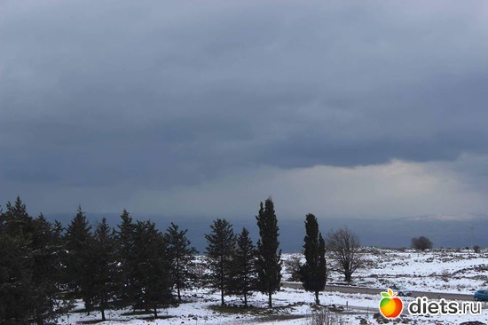   .   .28.01.17, : ...