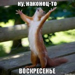 Первые 4 дня на БУЧ, ощущения и результаты