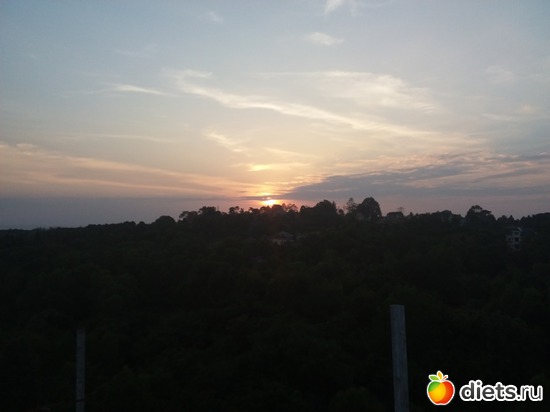 1 ����: ������, ������� � ����.