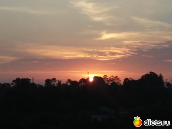 2 ����: ������, ������� � ����.