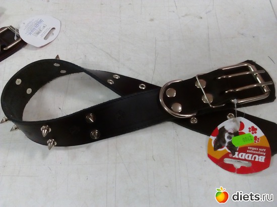 5 ����: �������.