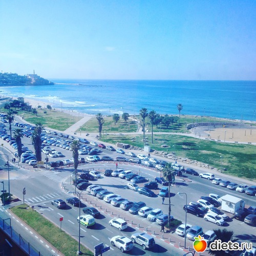 84 ����: 2017 ������