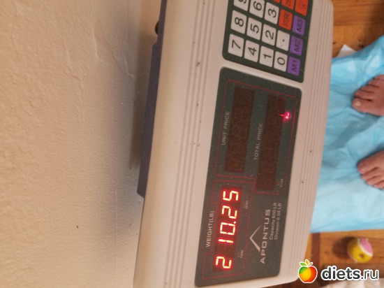 8 ����: ������ 7 ������ 2016