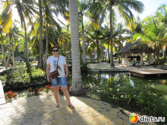 1 ����: ������� ������������