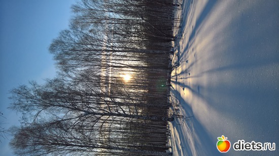 11 ����: �