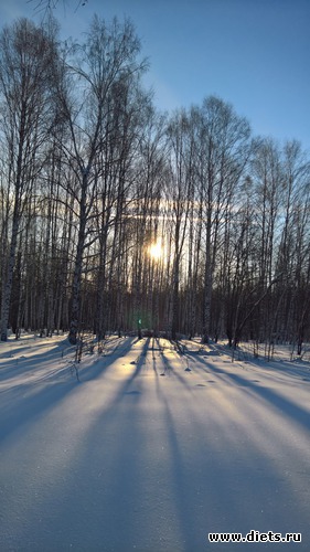 12 ����: �