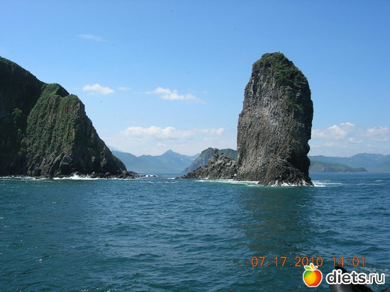 3, ������: ��������