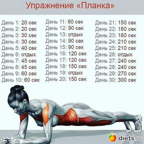 1 ����: ���������� � ���������