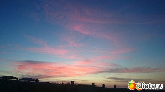 38 ����: ������, ������� � ����.