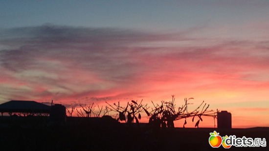 39 ����: ������, ������� � ����.