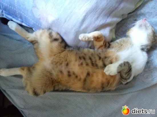 37 ����: ��� ��������