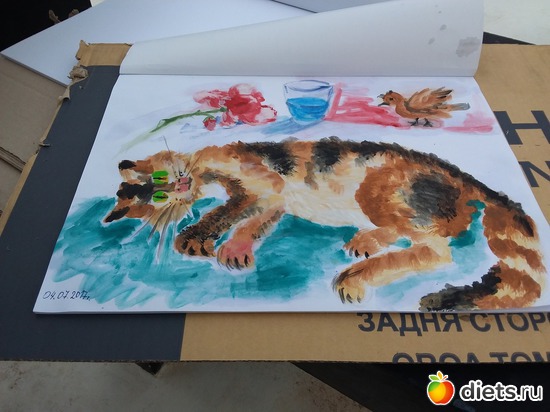 4.07.2015 ����, ������: ���������