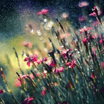 �� ������, � ������ ����� ��� :(  �����������