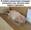 15 простых правил.